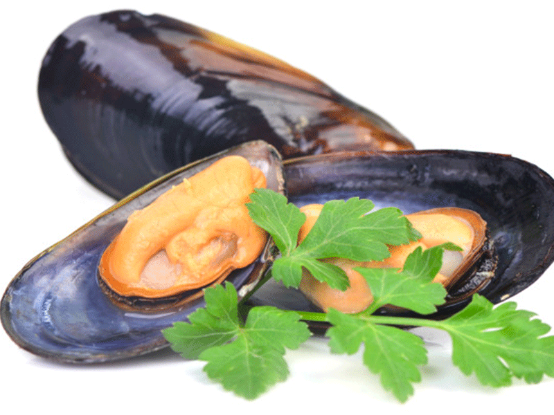 Cozze