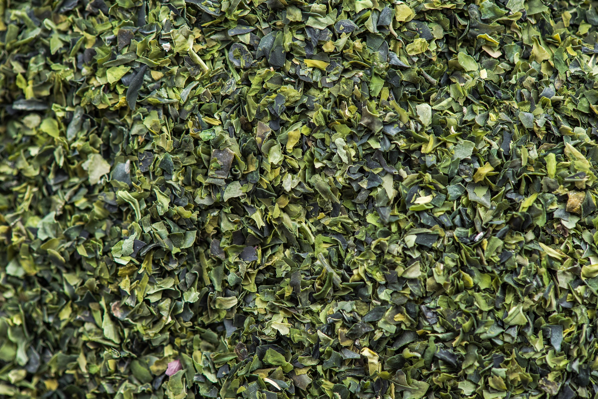 detail macro of aonori dried seaweed flakes