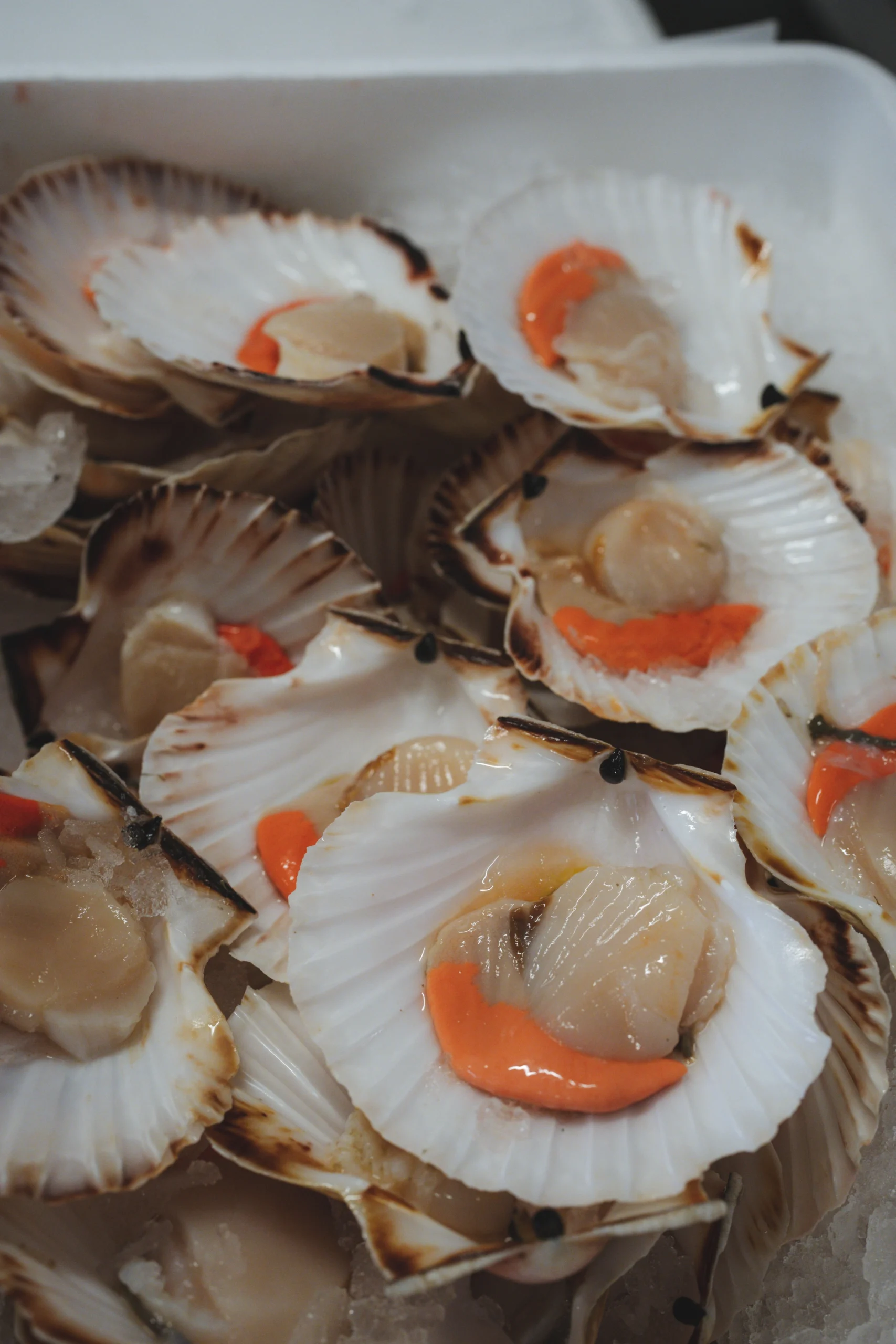 Frutti di mare misti