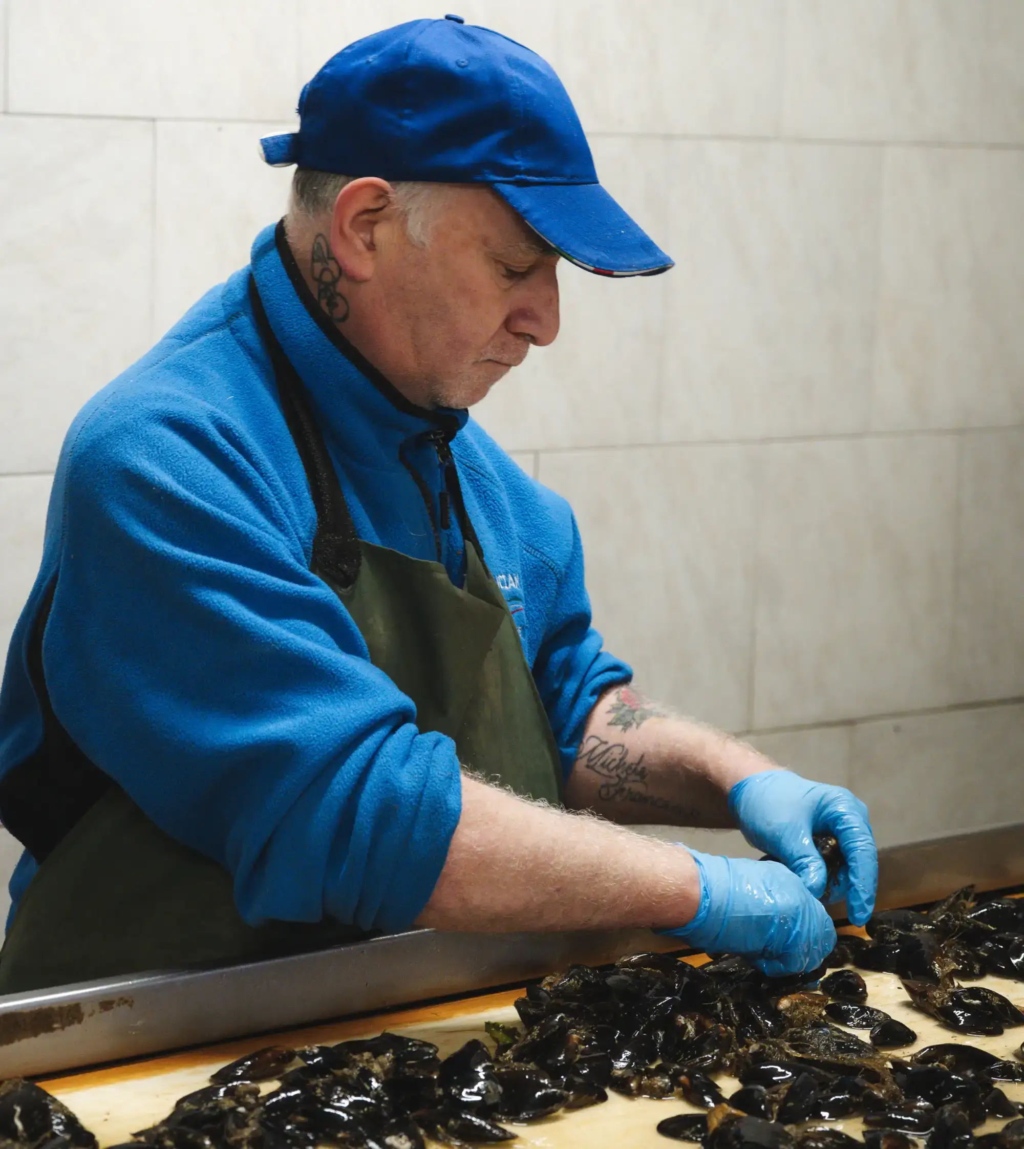 Lavorazione Pesce